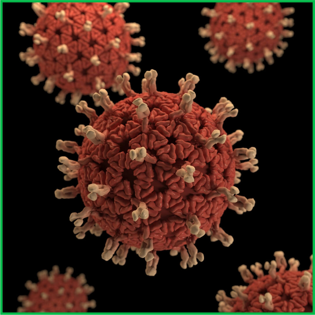 Bacteria Bacteria